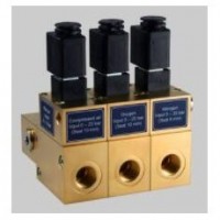 Lanny Valve Block PV3B40 STD Series