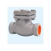 Stainless Steel Swing Check Valve Series 886 for REGO LNG