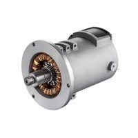 SCHABMUELLER Walker traction motor Series