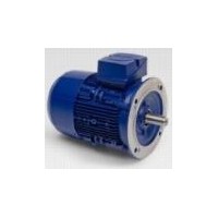 BIRKENBEUL three-phase standard motor series