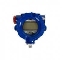 APGSENSORS intrinsically safe Modbus display series