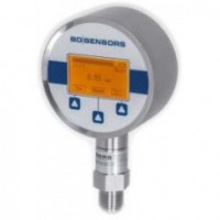 BDSENSORS Digital pressure gauges DM 01 series
