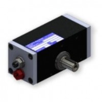 DSD pneumatic rotary cylinder 113 series