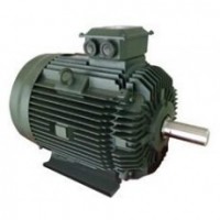 TOSHIBA medium motor series