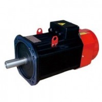 EURA asynchronous servo motor YM series