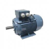 ELECTRAMO cast iron explosion-proof motor series