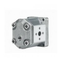 MARZOCCHI gear pump ALM series