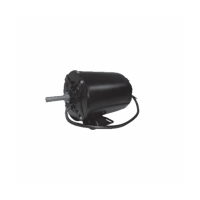 Regal DC brushless motor F56 series