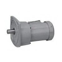 NISSEI Induction reduction motor Parallel shaft (G3)0.1kW-2.2kW series