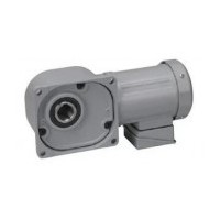 NISSEI induction reduction motor right Angle hollow hole/Right Angle shaft (F)0.1kW-2.2kW series