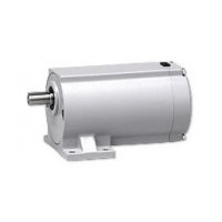 NISSEI induction reduction motor Parallel shaft (G)5W-90W series