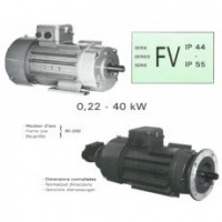 RADIO-ENERGIE Variable speed motor FV series