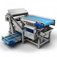 TOMRA Optical Sorter Halo Series