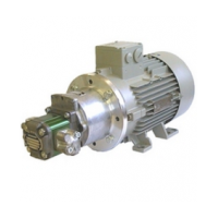 WOERNER gear pump GFM-D series